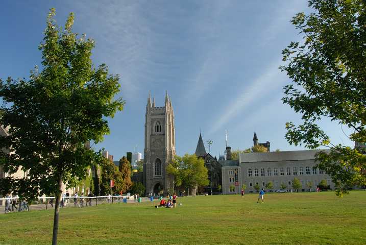 Would You Want to See This Grass Turfed?
