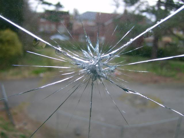 The Task of Cultural Criticism in the 21st Century