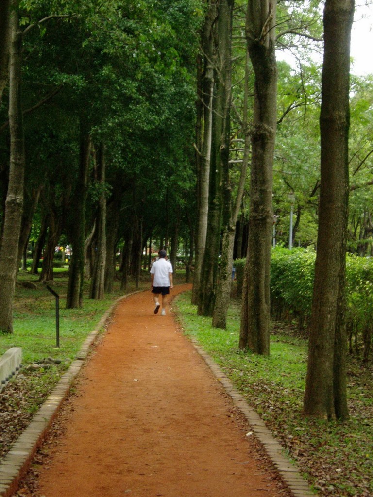 Inviting Trails in Da'an Park