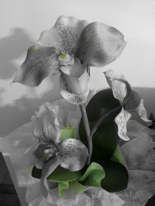 The Prophet Mohhammad.