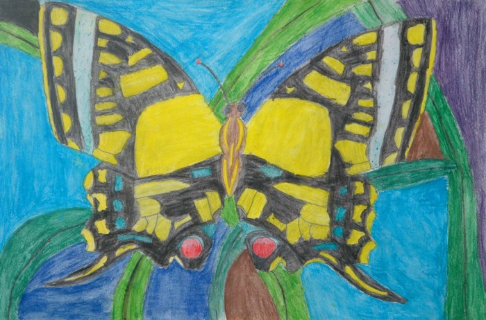 By Haley Barr, Grade 6, Johnson Middle School, McKinney ISD, Texas